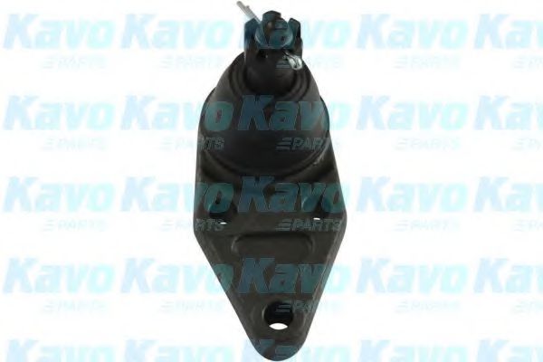 KAVO PARTS SBJ-5528 Несущий направляющий шарнир для MITSUBISHI PAJERO IV (Митсубиши/митсубиси Паджеро 4) KAVO PARTS SBJ-5528 Несущий направляющий шарнир для MITSUBISHI PAJERO IV (Митсубиши/митсубиси Паджеро 4)