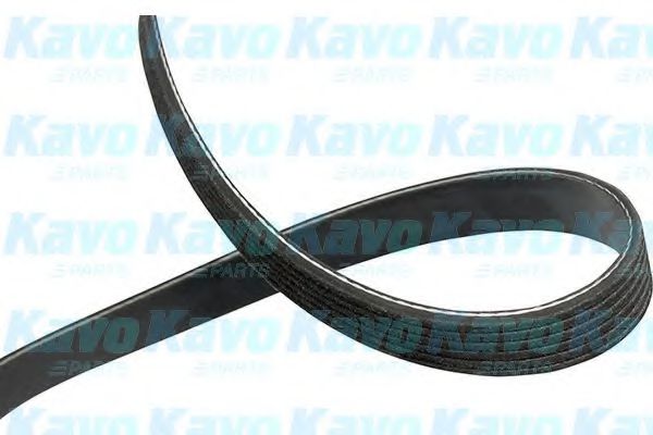 KAVO PARTS DMV-5548 Поликлиновой ремень для MITSUBISHI LANCER (Митсубиши/митсубиси Ланcэр) KAVO PARTS DMV-5548 Поликлиновой ремень для MITSUBISHI LANCER (Митсубиши/митсубиси Ланcэр)