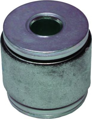 BIRTH 2031 Подвеска, рычаг независимой подвески колеса 