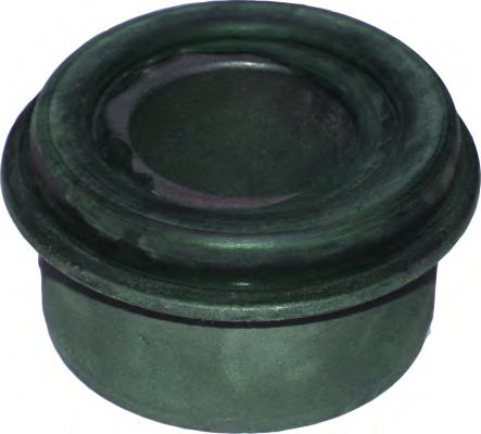 BIRTH 2110 Подвеска, рычаг независимой подвески колеса 