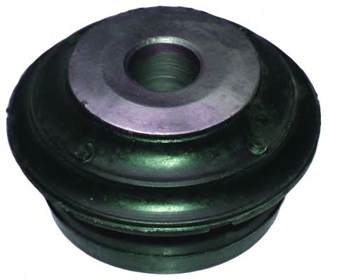 BIRTH 2169 Подвеска, рычаг независимой подвески колеса 