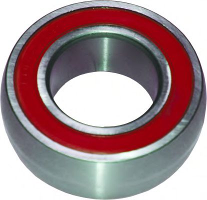 BIRTH 6198 Подшипник, приводной вал 