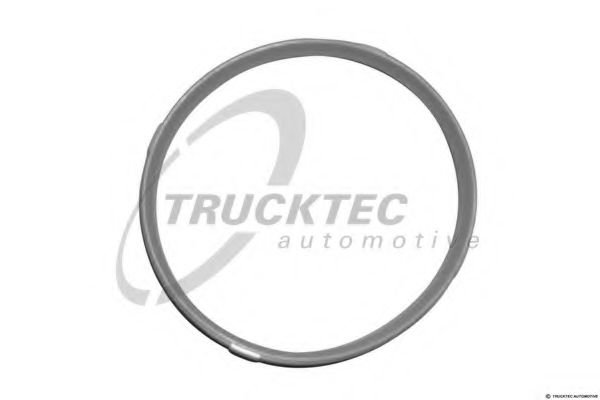 TRUCKTEC AUTOMOTIVE 08.10.060 Прокладка, корпус впускного коллектора для LAND ROVER DEFENDER (Ленд ровер/лэнд ровер Дэфэндэр) TRUCKTEC AUTOMOTIVE 08.10.060 Прокладка, корпус впускного коллектора для LAND ROVER DEFENDER (Ленд ровер/лэнд ровер Дэфэндэр)