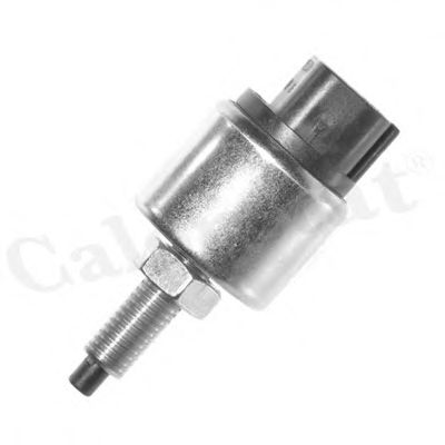 CALORSTAT by Vernet BS4572 Выключатель фонаря сигнала торможения для SUZUKI GRAND VITARA I (Сузуки Гранд витара 1) CALORSTAT by Vernet BS4572 Выключатель фонаря сигнала торможения для SUZUKI GRAND VITARA I (Сузуки Гранд витара 1)