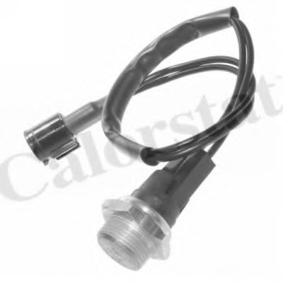 CALORSTAT by Vernet TS1960 Термовыключатель, вентилятор радиатора для RENAULT LAGUNA I (Рено Лагуна 1) CALORSTAT by Vernet TS1960 Термовыключатель, вентилятор радиатора для RENAULT LAGUNA I (Рено Лагуна 1)