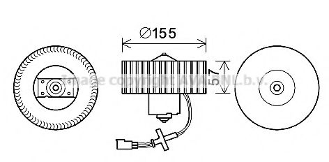AVA QUALITY COOLING FD8568 Электродвигатель, вентиляция салона для FORD FIESTA (Форд Фиэста) AVA QUALITY COOLING FD8568 Электродвигатель, вентиляция салона для FORD FIESTA (Форд Фиэста)