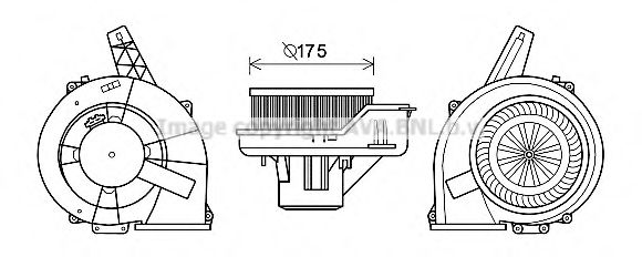 AVA QUALITY COOLING ST8045 Электродвигатель, вентиляция салона для VOLKSWAGEN (Фольксваген) AVA QUALITY COOLING ST8045 Электродвигатель, вентиляция салона для VOLKSWAGEN (Фольксваген)