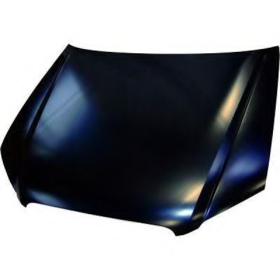 DIEDERICHS 1017100 Капот двигателя 