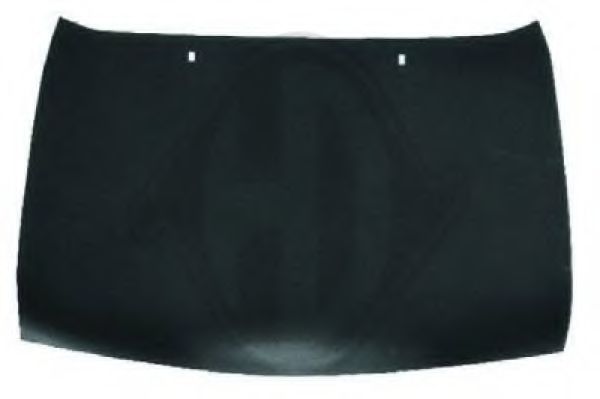 DIEDERICHS 1403000 Капот двигателя для FORD FIESTA (Форд Фиэста) DIEDERICHS 1403000 Капот двигателя для FORD FIESTA (Форд Фиэста)