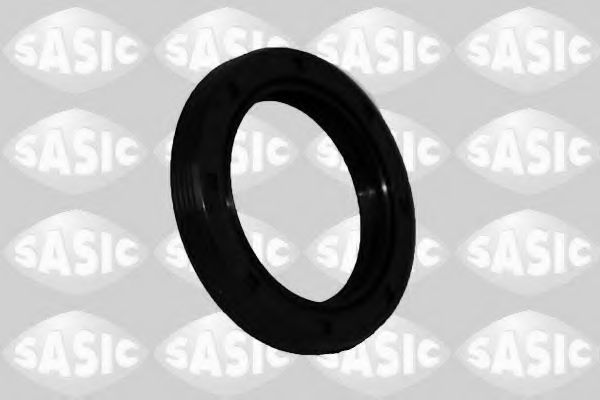 SASIC 1954008 Уплотняющее кольцо, распределительный вал для DACIA SANDERO (Дача Сандэро) SASIC 1954008 Уплотняющее кольцо, распределительный вал для DACIA SANDERO (Дача Сандэро)