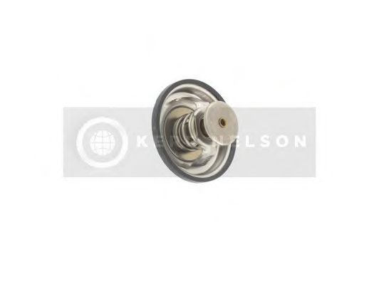 STANDARD KTS100 Термостат, охлаждающая жидкость для JEEP (Джип) STANDARD KTS100 Термостат, охлаждающая жидкость для JEEP (Джип)