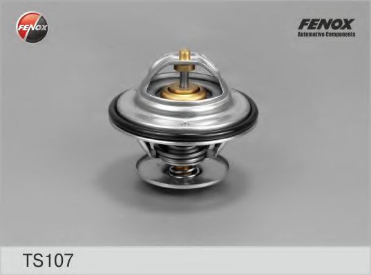 FENOX TS107 Термостат, охлаждающая жидкость для RENAULT SAFRANE (Рено Сафранэ) FENOX TS107 Термостат, охлаждающая жидкость для RENAULT SAFRANE (Рено Сафранэ)