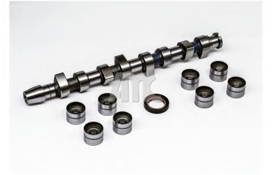 AMC 647060K Комплект распредвала для VOLKSWAGEN GOLF IV (Фольксваген Гольф 4) AMC 647060K Комплект распредвала для VOLKSWAGEN GOLF IV (Фольксваген Гольф 4)