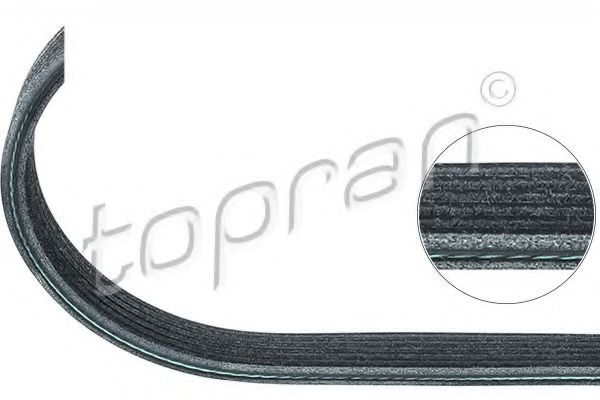 TOPRAN 109 659 Поликлиновой ремень для VOLKSWAGEN NOVO FUSCA (Фольксваген Ноvо фусcа) TOPRAN 109 659 Поликлиновой ремень для VOLKSWAGEN NOVO FUSCA (Фольксваген Ноvо фусcа)