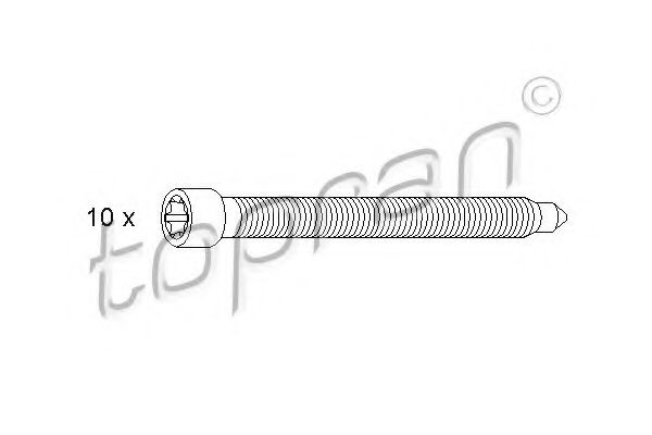 TOPRAN 110 181 Комплект болтов головки цилидра 