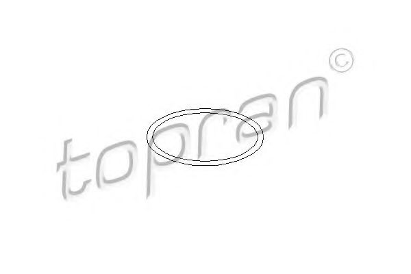 TOPRAN 103 007 Уплотнительное кольцо, болт крышки; Уплотнительное кольцо для SEAT ALTEA (Сеат Алтэа) TOPRAN 103 007 Уплотнительное кольцо, болт крышки; Уплотнительное кольцо для SEAT ALTEA (Сеат Алтэа)