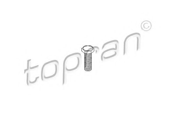 TOPRAN 110 710 Болт, корпус скобы тормоза для VOLKSWAGEN DERBY (Фольксваген Дэрбъ) TOPRAN 110 710 Болт, корпус скобы тормоза для VOLKSWAGEN DERBY (Фольксваген Дэрбъ)