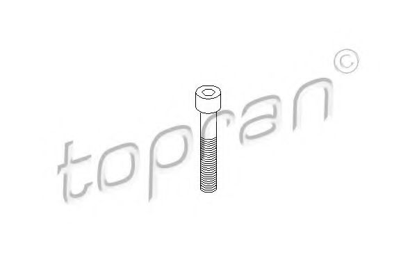 TOPRAN 110 708 Болт, корпус скобы тормоза для VOLKSWAGEN JETTA II (Фольксваген Жэтта 2) TOPRAN 110 708 Болт, корпус скобы тормоза для VOLKSWAGEN JETTA II (Фольксваген Жэтта 2)
