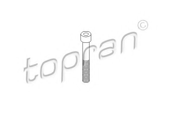 TOPRAN 110 707 Болт, корпус скобы тормоза для VOLKSWAGEN JETTA II (Фольксваген Жэтта 2) TOPRAN 110 707 Болт, корпус скобы тормоза для VOLKSWAGEN JETTA II (Фольксваген Жэтта 2)