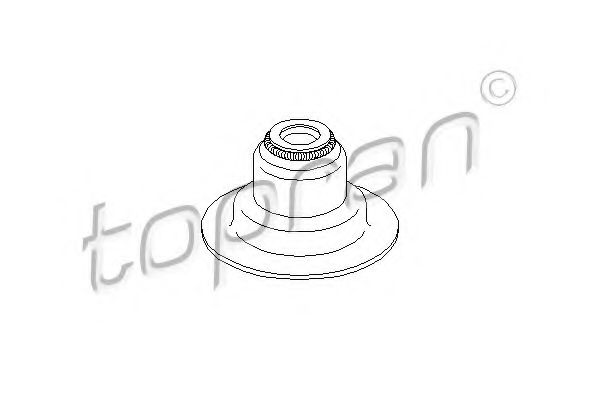 TOPRAN 300 524 Уплотнительное кольцо, стержень кла для FORD ORION II (Форд Орион 2) TOPRAN 300 524 Уплотнительное кольцо, стержень кла для FORD ORION II (Форд Орион 2)