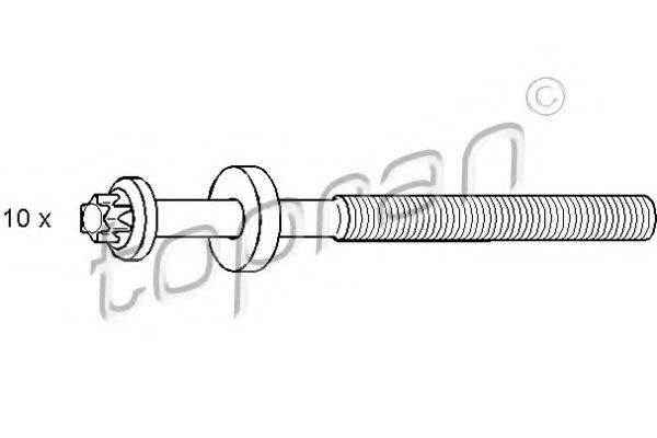 TOPRAN 500 369 Комплект болтов головки цилидра 