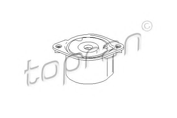 TOPRAN 501 499 Натяжитель ремня, клиновой зубча для BMW (Бмв) TOPRAN 501 499 Натяжитель ремня, клиновой зубча для BMW (Бмв)