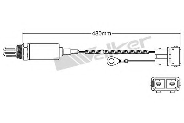 WALKER PRODUCTS 250-21037 Лямбда-зонд для SEAT TOLEDO (Сеат Толэдо) WALKER PRODUCTS 250-21037 Лямбда-зонд для SEAT TOLEDO (Сеат Толэдо)