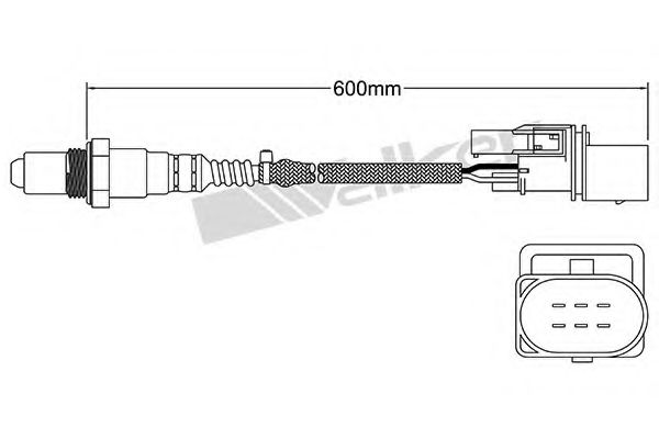 WALKER PRODUCTS 250-25002 Лямбда-зонд для VOLKSWAGEN TOURAN (Фольксваген Туран) WALKER PRODUCTS 250-25002 Лямбда-зонд для VOLKSWAGEN TOURAN (Фольксваген Туран)