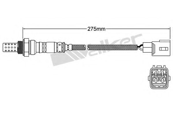 WALKER PRODUCTS 250-24169 Лямбда-зонд для LEXUS LX (Лексус Лх) WALKER PRODUCTS 250-24169 Лямбда-зонд для LEXUS LX (Лексус Лх)