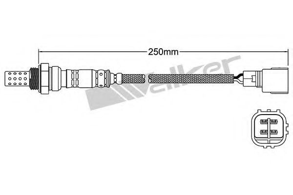 WALKER PRODUCTS 250-24344 Лямбда-зонд для LEXUS IS CROSS (Лексус Ис крос) WALKER PRODUCTS 250-24344 Лямбда-зонд для LEXUS IS CROSS (Лексус Ис крос)