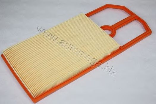 AUTOMEGA 301290620036F Воздушный фильтр 