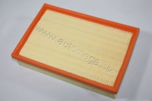 AUTOMEGA 3012906201L0C Воздушный фильтр 