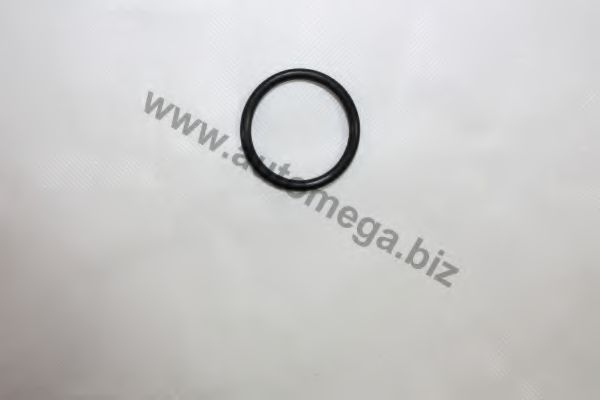 AUTOMEGA 3006520690 Уплотнительное кольцо, резьбовая пр для OPEL SINTRA (Опель Синтра) AUTOMEGA 3006520690 Уплотнительное кольцо, резьбовая пр для OPEL SINTRA (Опель Синтра)