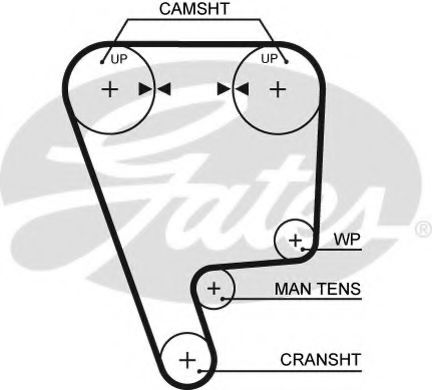 GATES 5349XS Ремень ГРМ для HONDA ACCORD V (Хонда Аккорд 5) GATES 5349XS Ремень ГРМ для HONDA ACCORD V (Хонда Аккорд 5)