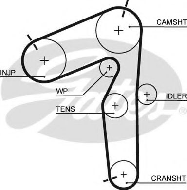 GATES 5462XS Ремень ГРМ для FIAT BRAVA (Фиат Брава) GATES 5462XS Ремень ГРМ для FIAT BRAVA (Фиат Брава)
