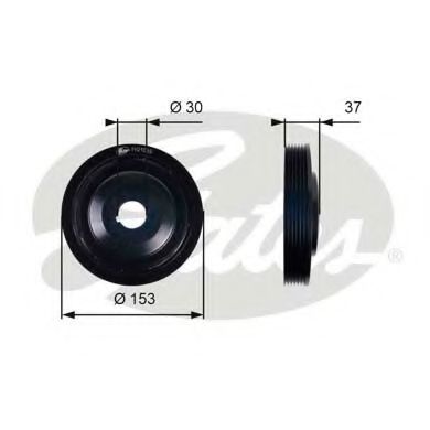GATES TVD1035 Ременный шкив, коленчатый вал для CITROËN SYNERGIE (CитроËн Сънэргиэ) GATES TVD1035 Ременный шкив, коленчатый вал для CITROËN SYNERGIE (CитроËн Сънэргиэ)