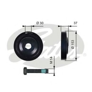 GATES TVD1035A Ременный шкив, коленчатый вал для CITROËN SYNERGIE (CитроËн Сънэргиэ) GATES TVD1035A Ременный шкив, коленчатый вал для CITROËN SYNERGIE (CитроËн Сънэргиэ)