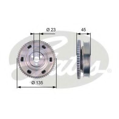 GATES TVD1069 Ременный шкив, коленчатый вал для LANCIA (Лансиа/лянча) GATES TVD1069 Ременный шкив, коленчатый вал для LANCIA (Лансиа/лянча)