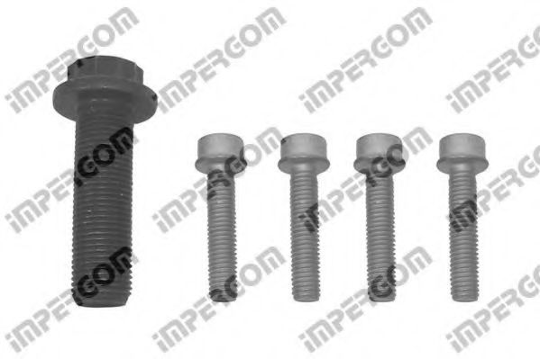 ORIGINAL IMPERIUM 41024 Комплект болтов, ременный шкив - коленчатый вал для SEAT IBIZA IV (Сеат Ибица 4) ORIGINAL IMPERIUM 41024 Комплект болтов, ременный шкив - коленчатый вал для SEAT IBIZA IV (Сеат Ибица 4)