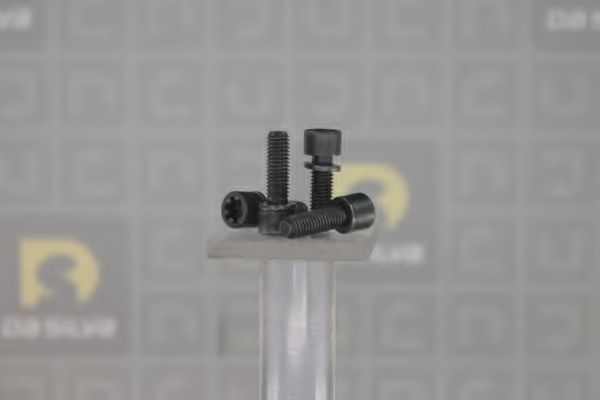 DA SILVA PLK006 Комплект болтов, ременный шкив - коленчатый вал для FIAT (Фиат) DA SILVA PLK006 Комплект болтов, ременный шкив - коленчатый вал для FIAT (Фиат)