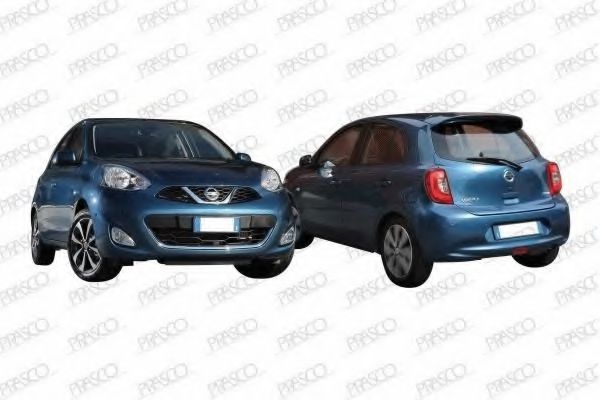 PRASCO DS0151001 Буфер 