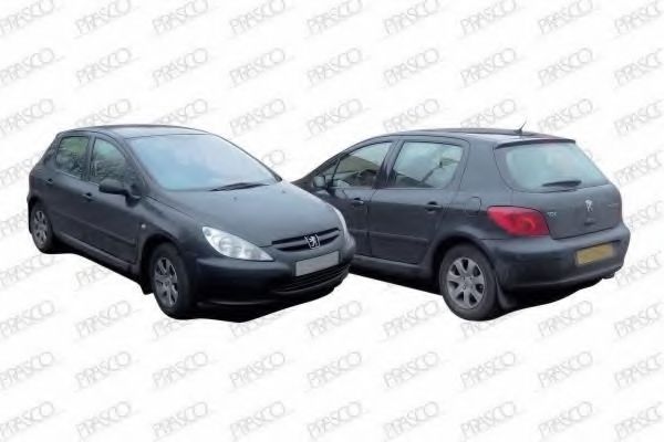 PRASCO PG4207113 Наружное зеркало для PEUGEOT 307 (Пежо 307) PRASCO PG4207113 Наружное зеркало для PEUGEOT 307 (Пежо 307)