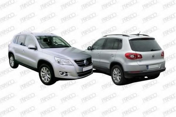 PRASCO VW8077413 Покрытие, внешнее зеркало для SKODA (Шкода) PRASCO VW8077413 Покрытие, внешнее зеркало для SKODA (Шкода)