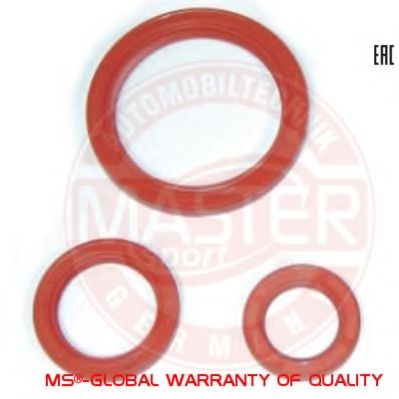 MASTER-SPORT 11021005034S-SET3-MS Уплотняющее кольцо, коленчатый вал 