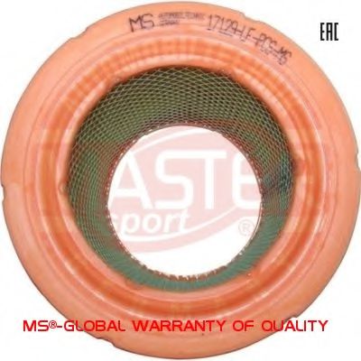 MASTER-SPORT 17129-LF-PCS-MS Воздушный фильтр для FIAT (Фиат) MASTER-SPORT 17129-LF-PCS-MS Воздушный фильтр для FIAT (Фиат)