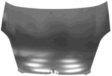 VAN WEZEL 1638660 Капот двигателя для FIAT (Фиат) VAN WEZEL 1638660 Капот двигателя для FIAT (Фиат)