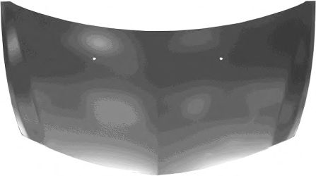 VAN WEZEL 4333660 Капот двигателя для RENAULT LUTECIA III (Рено Лутэcиа 3) VAN WEZEL 4333660 Капот двигателя для RENAULT LUTECIA III (Рено Лутэcиа 3)