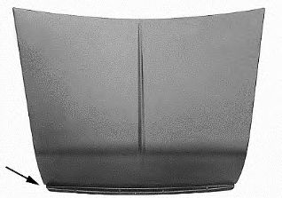 VAN WEZEL 0201660 Капот двигателя 