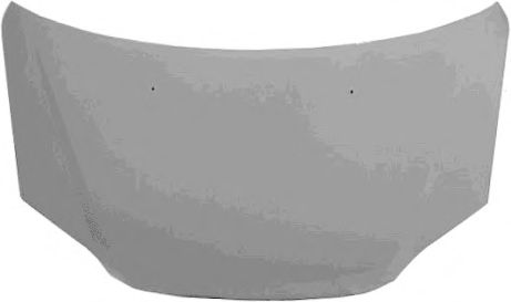 VAN WEZEL 5256660 Капот двигателя 