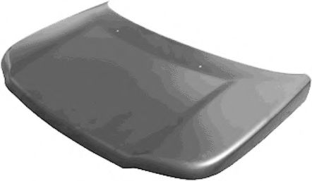 VAN WEZEL 0245660 Капот двигателя 